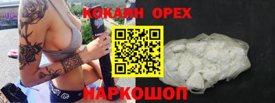 гидра Новодвинск
