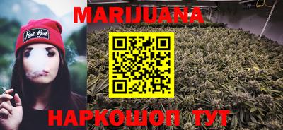 тгк Новозыбков