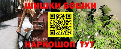 гидра Новодвинск