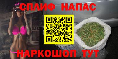 гидра Новодвинск