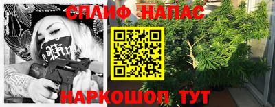 гидра Новодвинск