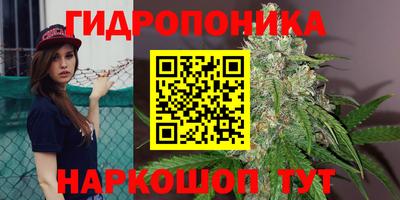 трава Новокубанск