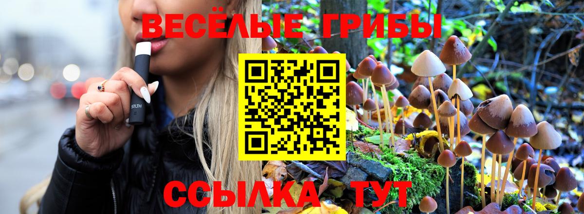 Амфетамин   Отрадный  Кокаин  Экстази  Вход с VPN  Меф МЯУ МЯУ кристаллы  ГАШ  Марихуана  ГАШИШ  Где продают наркотики?  MDMA 
