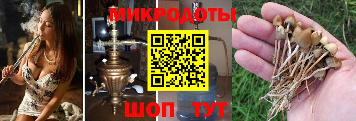 Отрадный  Галлюциногенные грибы мухоморы  Вход с VPN 